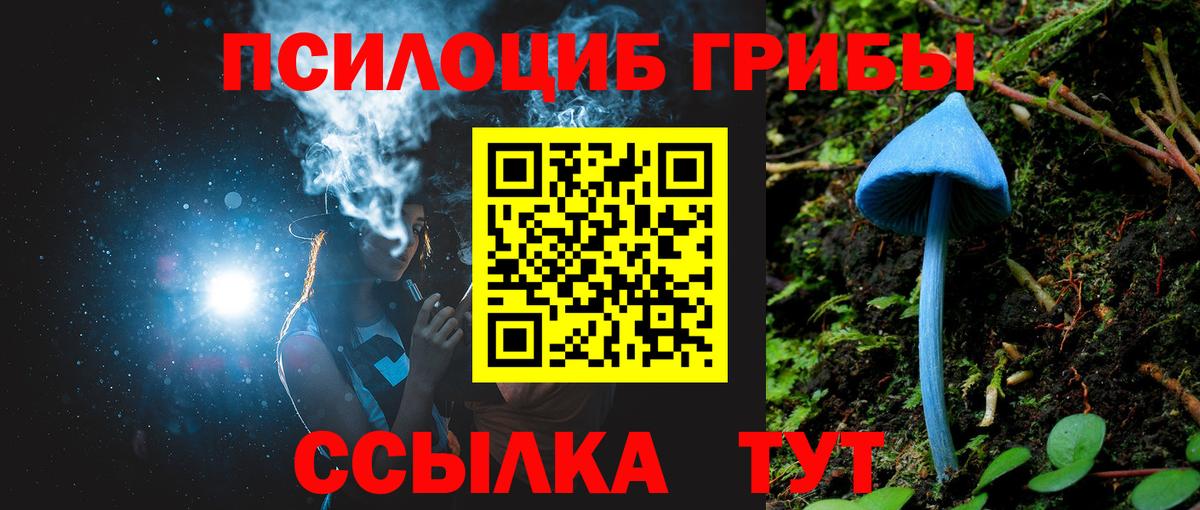 Галлюциногенные грибы Cubensis Каменск-Шахтинский